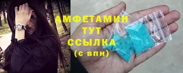 ПСИЛОЦИБИНОВЫЕ ГРИБЫ Инсар
