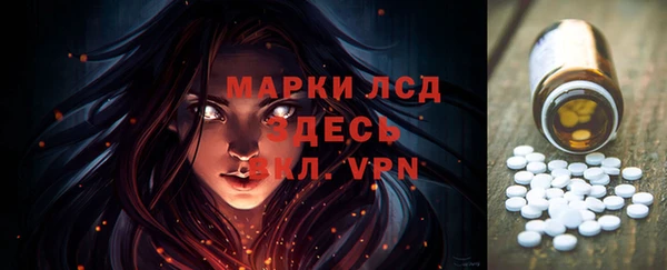 ПСИЛОЦИБИНОВЫЕ ГРИБЫ Инсар