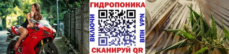 Купить где  Кимры  МАРИХУАНА сатива 